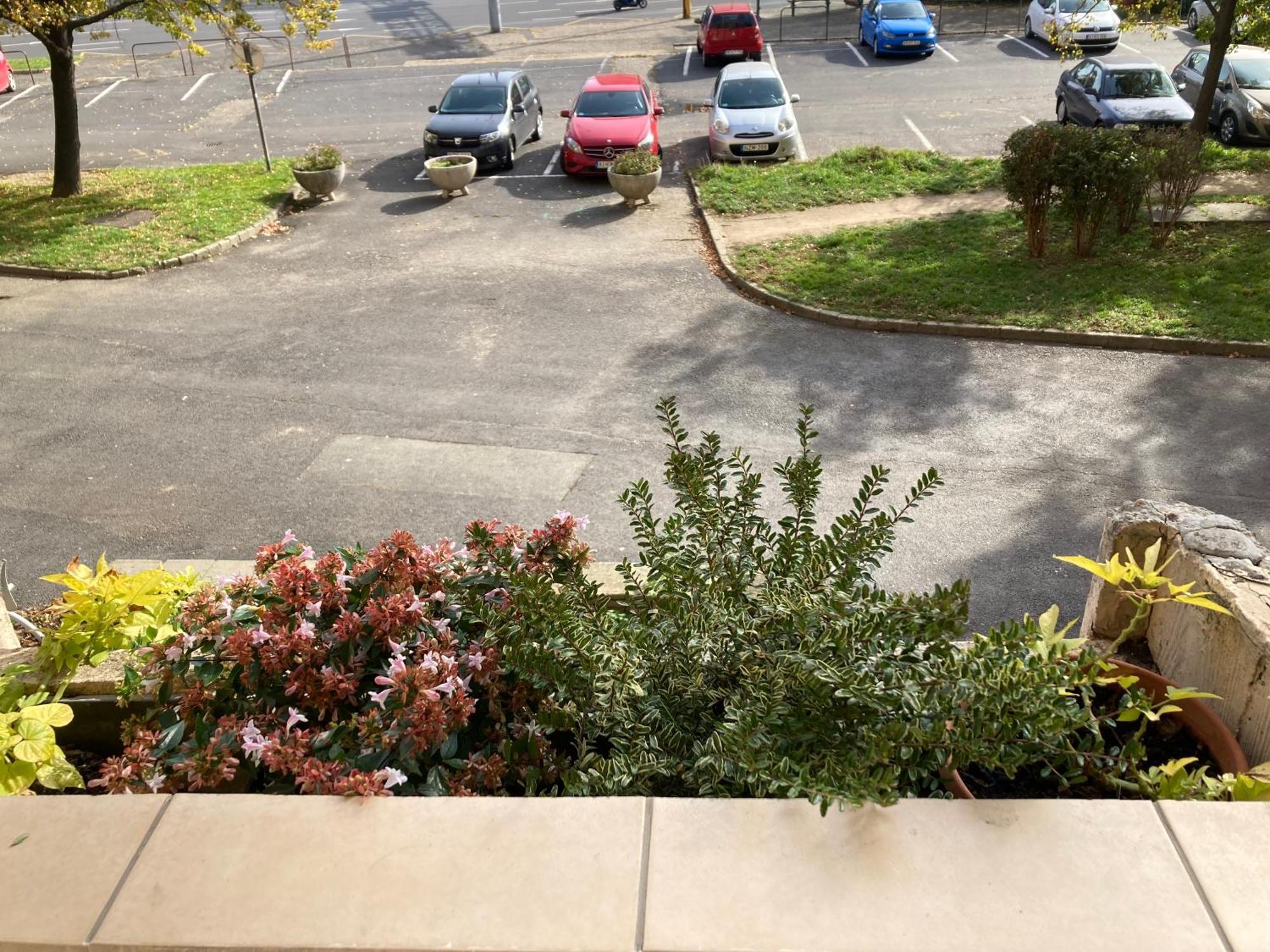 Belvarosi Classic Apartman 85 Square Meters Szombathely Luaran gambar